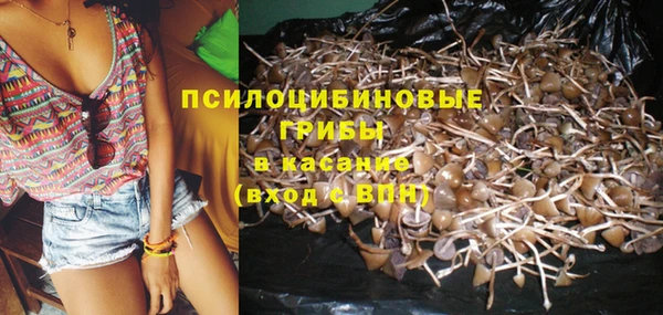 бошки Арсеньев