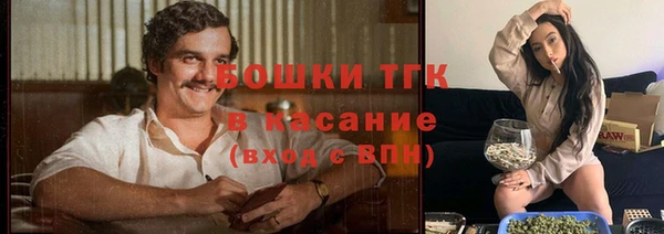 крисы Аркадак