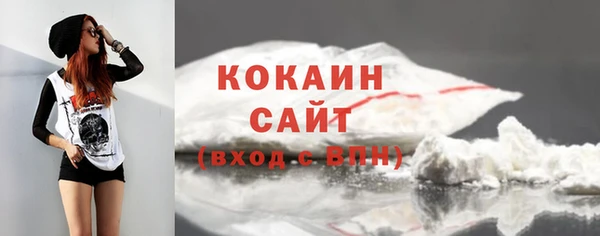 крисы Аркадак