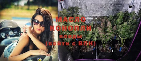 крисы Аркадак
